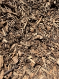 ALMOND