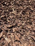 MEDIUM-BARK