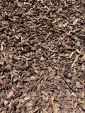 SMALL-BARK