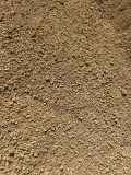 DG