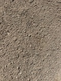FILL-SAND-Large