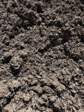 MUSHROOM-COMPOST